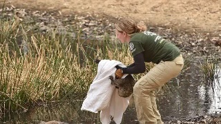 小夫自宣与JDG终止合约 面向全球寻找新队伍|beat365官网(图1) beat365亚洲体育官方网站