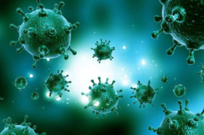 beat·365|盐藻精美礼盒季度装 调节酸碱平衡(图2) beat·365