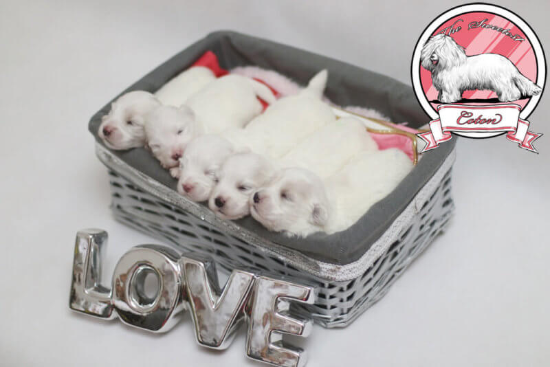 beat·365-《QQ炫舞》4.17水晶石关闭时间一览(图4) beat·365