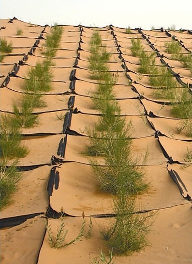 【beat·365】守望先锋竞技模式怎么上分 竞技模式上分攻略(图1) beat·365