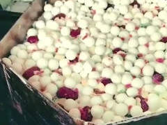 beat·365_DNF2017国庆套外观时装宝珠属性称号效果介绍(图1) beat·365