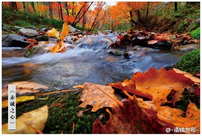 LOL新英雄虚空之女卡莎3月16日登陆召唤师峡谷_beat·365(图4) beat·365
