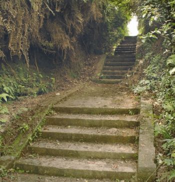 莲香岛科普:女性那几天内衣内裤穿戴讲究及怎些你真的知道吗:beat365官网(图2) beat365亚洲体育官方网站