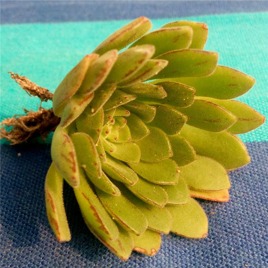 ‘beat365官网’绝地求生加入软锁区设定 PING值匹配变相锁区(图3) beat365官网