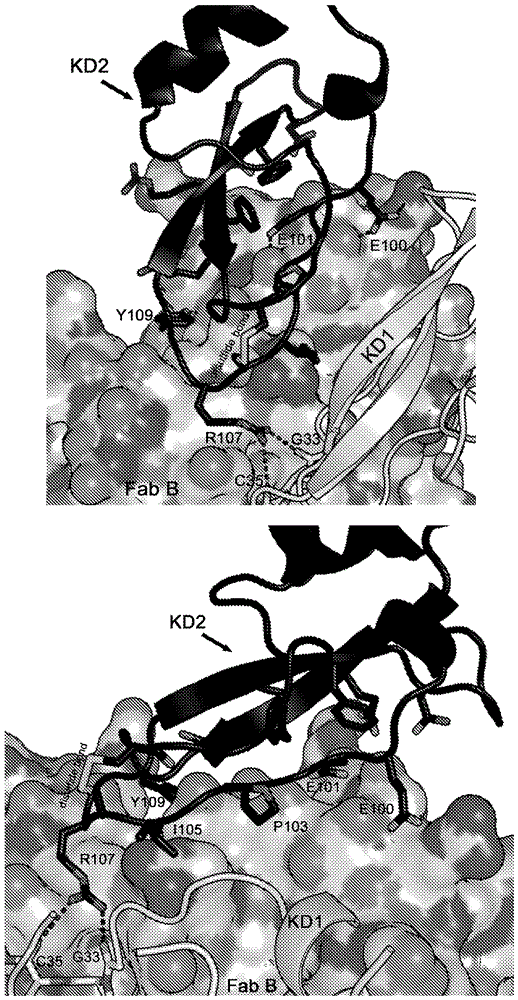 beat365亚洲体育官方网站
