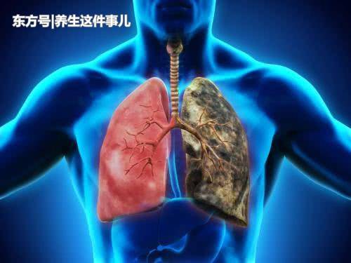 《QQ飞车》樱花季 永久S车极品宠物等你来_beat365官网(图1) beat365亚洲体育官方网站