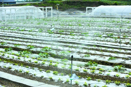 携手共筑科技梦快乐科普进校园——“搭搭乐乐”机器人走进渑池县直幼儿园|beat·365(图2) beat365官网