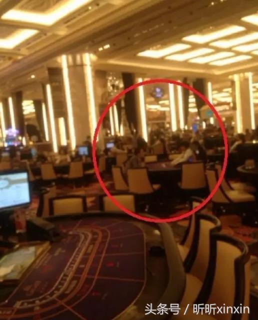 “beat365官网”FPX小天中学老师晒旧照 FMVP童年往事曝光!(图1) beat365亚洲体育官方网站