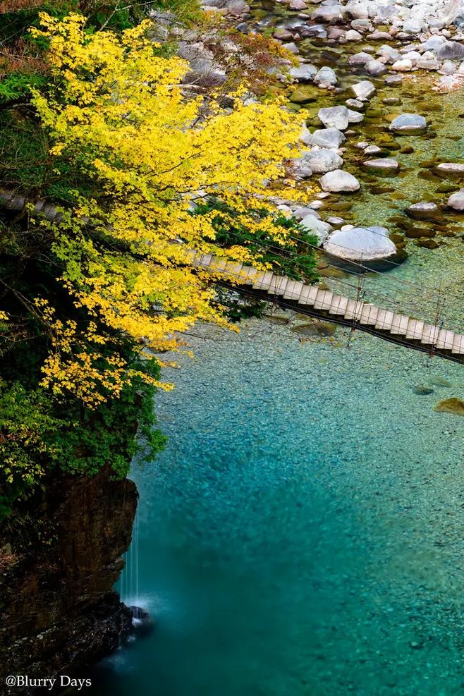 火箭3年合同签下威廉姆斯 夏季联赛场均轰22分‘beat365亚洲体育官方网站’(图4) beat·365