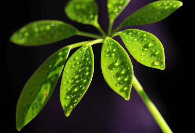 beat365亚洲体育官方网站