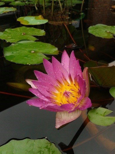 beat365亚洲体育官方网站