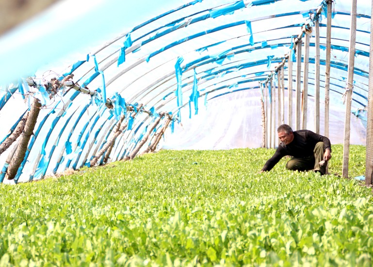 妇科臭氧油贴牌 提高机体免疫力【beat365亚洲体育官方网站】(图2) beat365亚洲体育官方网站