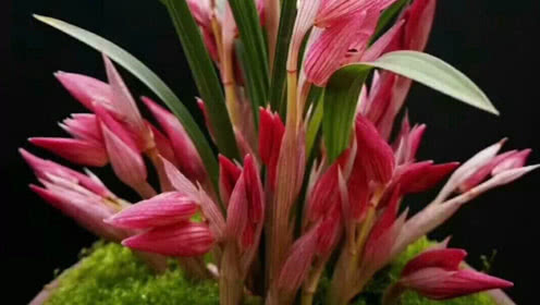 beat365亚洲体育官方网站